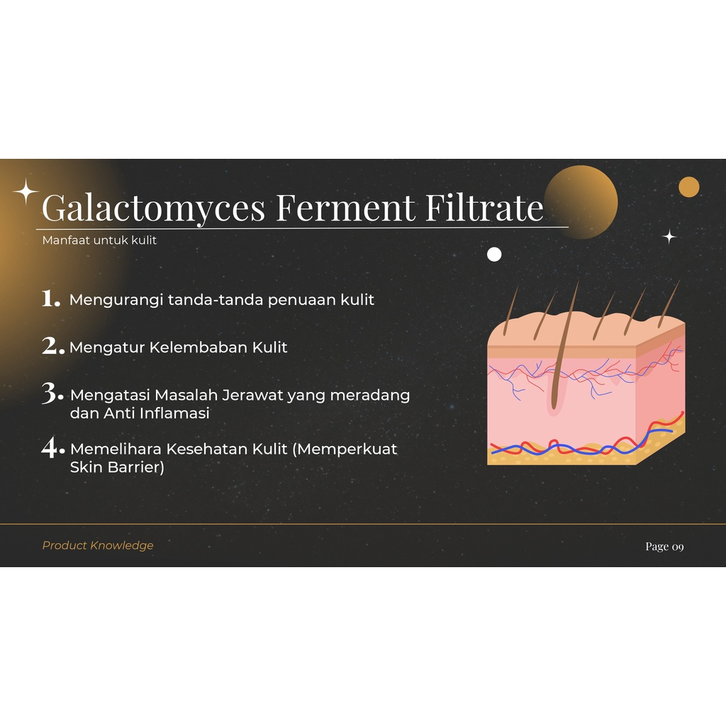 Reglow Intensive Whitening Night Cream Skincare dr Sindy Original Official Store