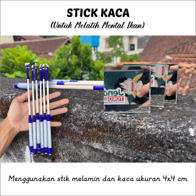 STICK KACA - Untuk Melatih Mental Ikan Channa dan Cupang