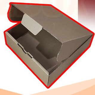 

15x15x2,5 kotak Kardus Packaging Box PIZZA