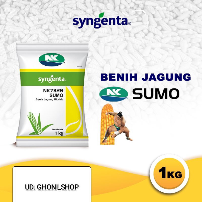 Benih jagung nk 7328 sumo