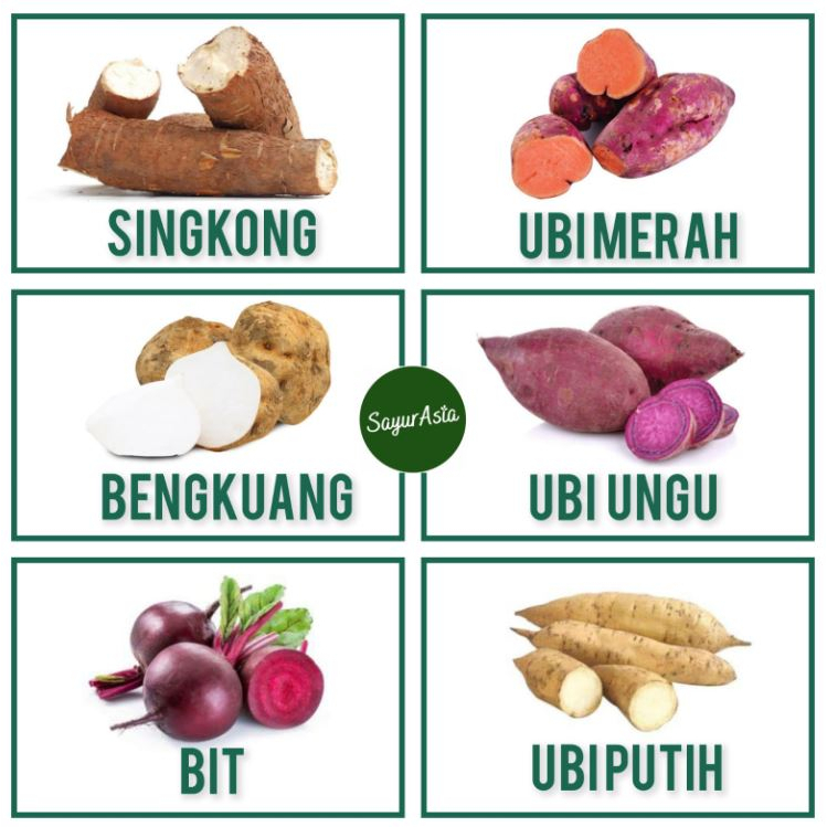 

SINGKONG / UBI MERAH / UBI UNGU / BENGKUANG / BUAH BIT /