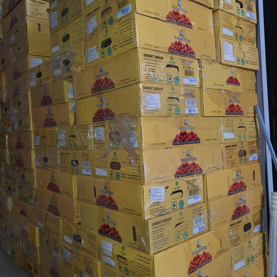 Kurma Mesir Golden Valley 10 KG / Kurma Kartonan Golden Orient 10 Kilo