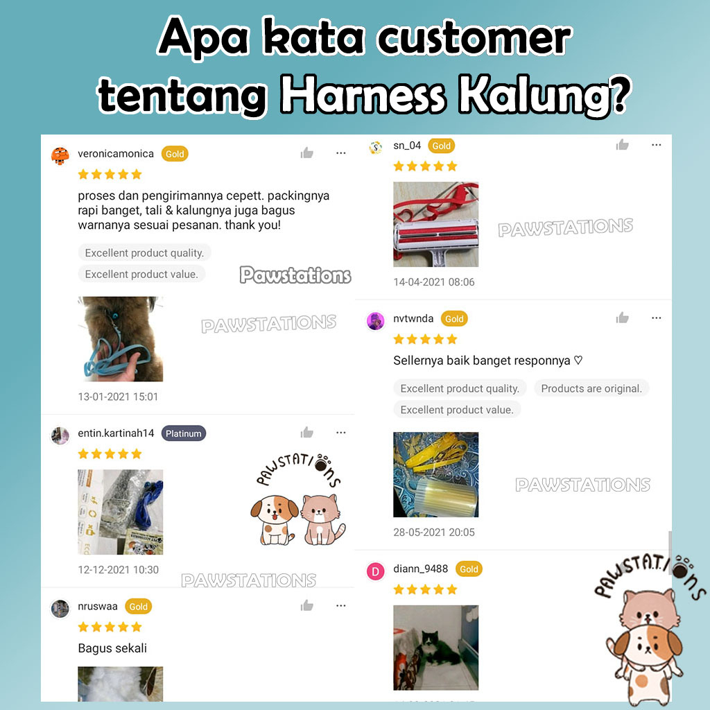 Tali Tuntun + Kalung Kucing dan Anjing Cat Leash Dog Leash