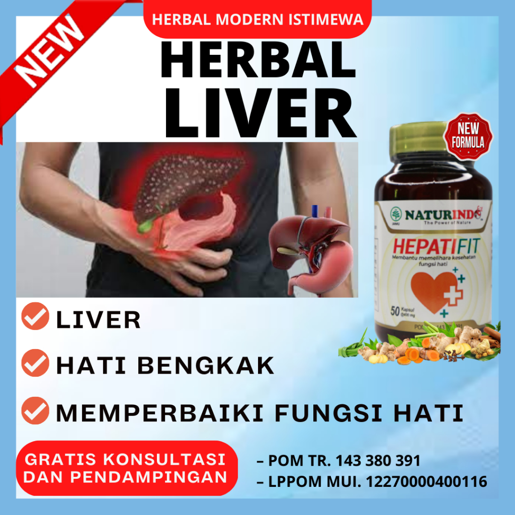 HEPATIFIT Obat Herbal Liver Perut Bengkak