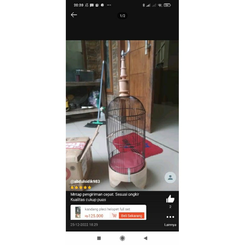 kandang / sangkar pleci helopet full set tebok kayu