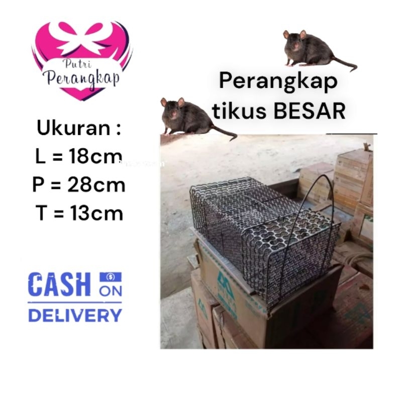 jebakan tikus besar / perangkap tikus besar / jebakan tikus massal / perangkap tikus masal
