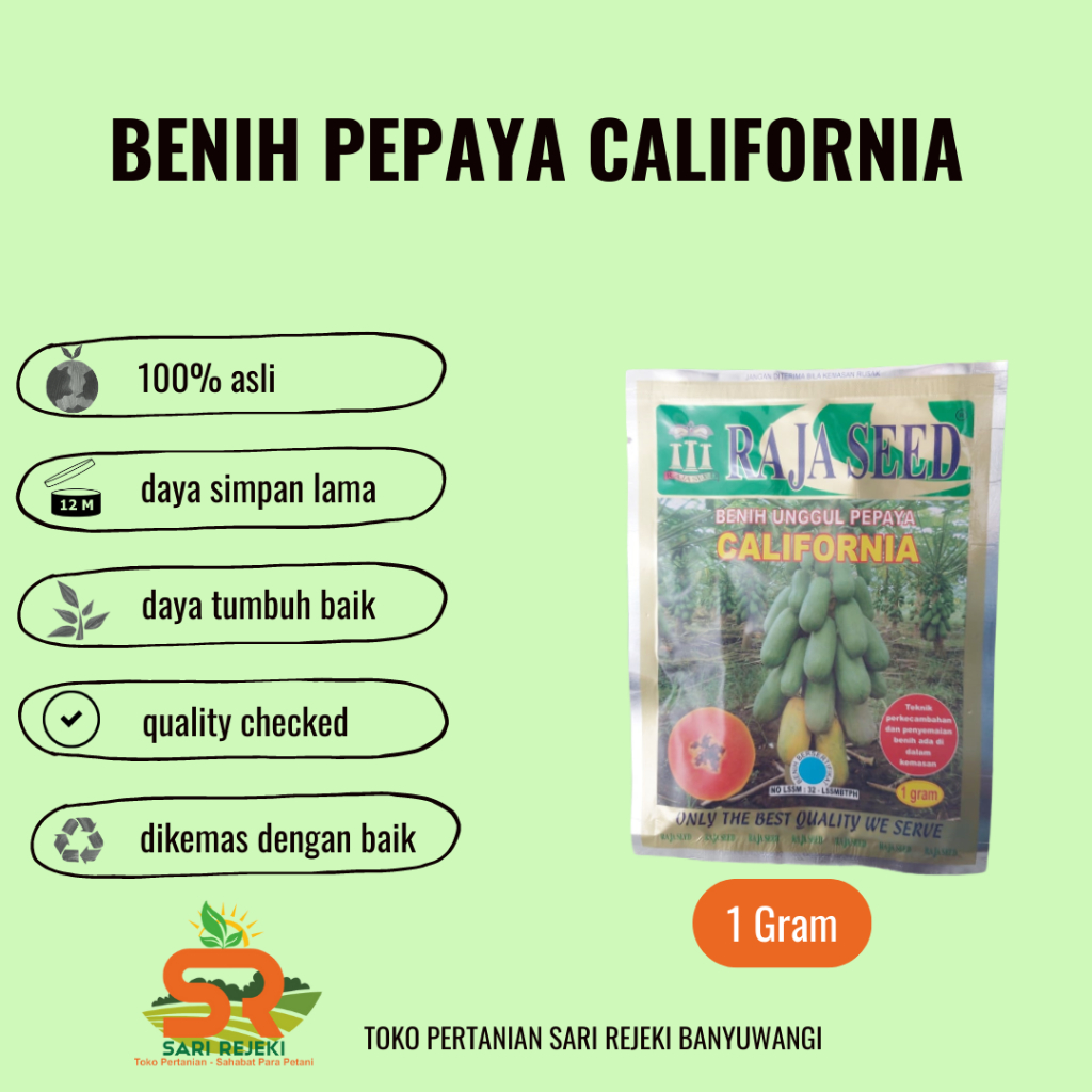 BENIH PEPAYA CALIFORNIA RAJA SEED 1GRAM