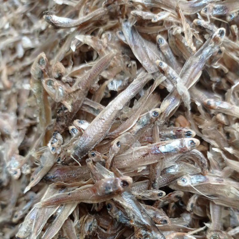 

Teri Reno tawar 100gr