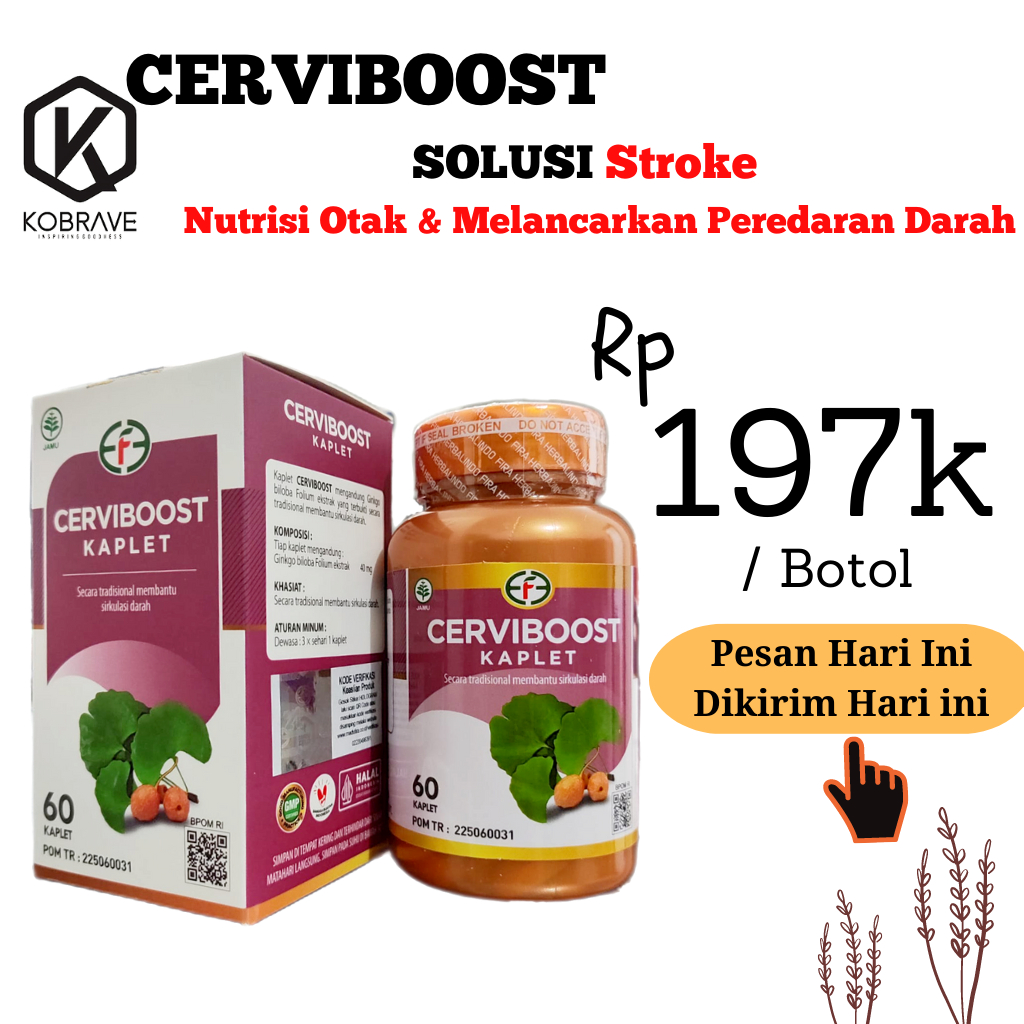 CERVIBOOST Kaplet Ginkgo Biloba Vitamin Otak Atasi Stroke Melancarkan Peredaran Darah