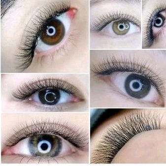 Yelix 3D W Shape Clover Lashes Volume Russian Eyelash Extension Ellipse