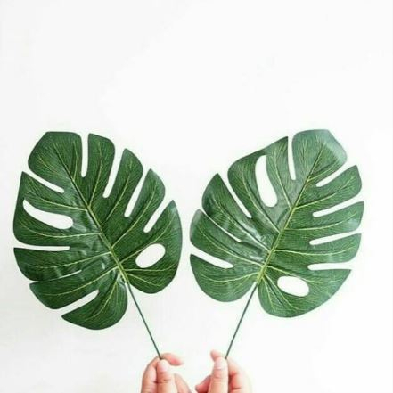 DAUN MONSTERA PHILODENDRON ARTIFICIAL - DAUN PLASTIK MONSTERA DEKORASI