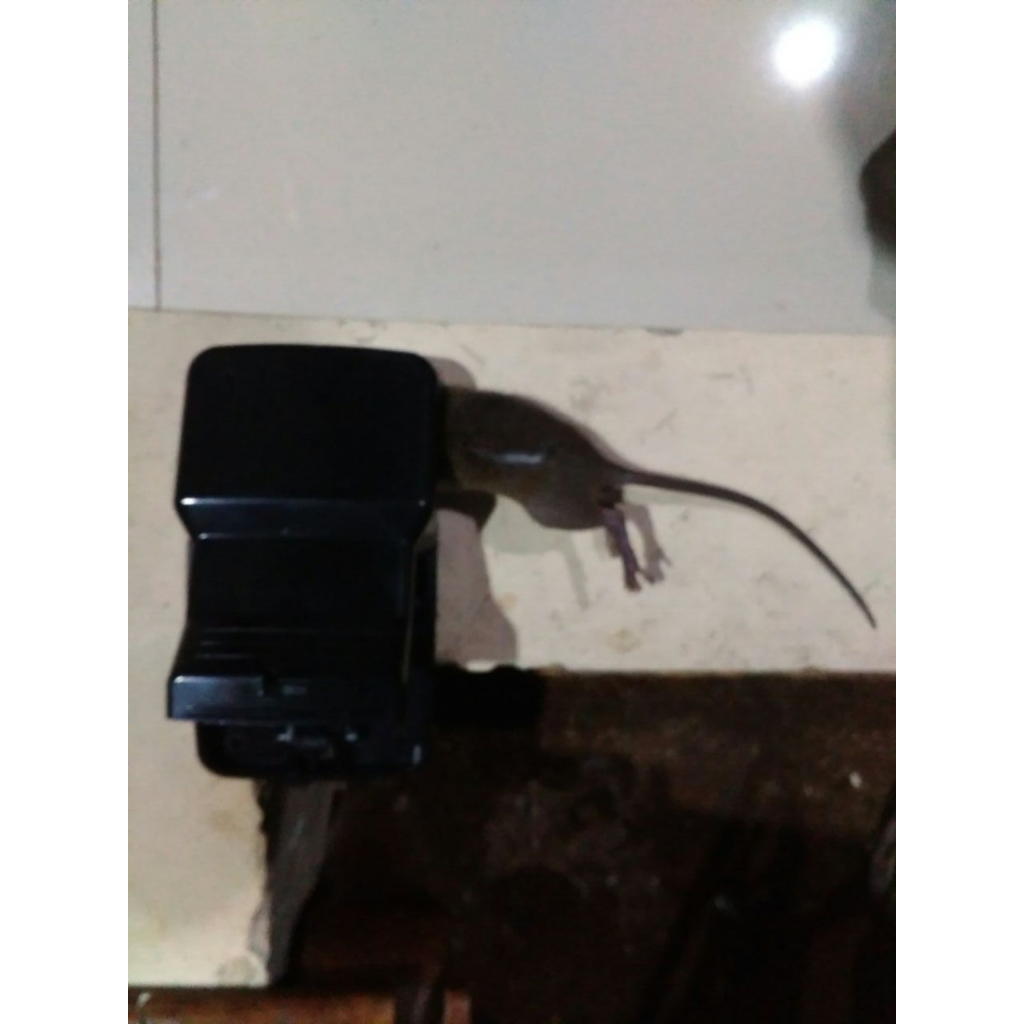 Perangkap Tikus Jepit Otomatis Jebakan Mouse Trap PVC Pembasi Hama Double Trap Rumah Super Ampuh