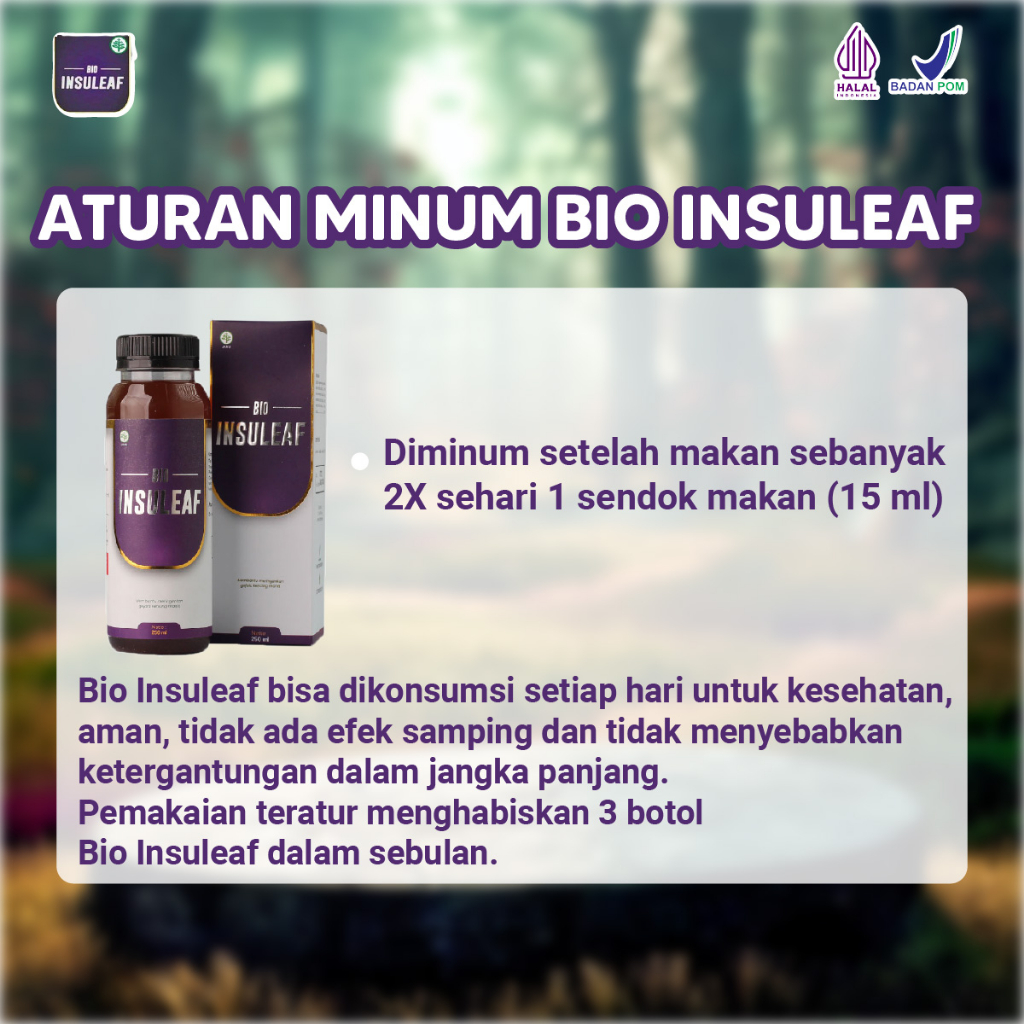 Bio Insuleaf Original Bantu Atasi Gula Darah DIabetes Paket 2 Botol Isi 250ml