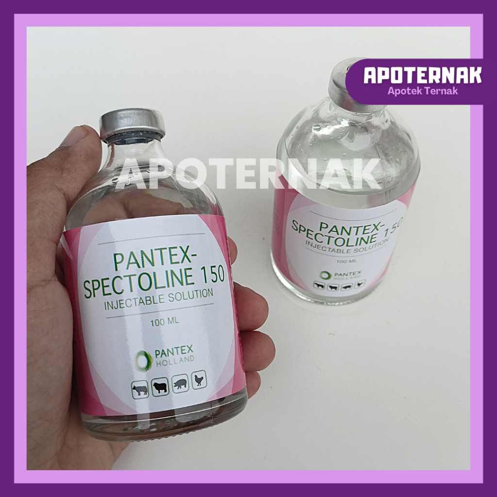 PANTEX SPECTOLIN 100 ml | Injeksi Pantex Spectolin Spektolin | Like LS Injection Interspectin L