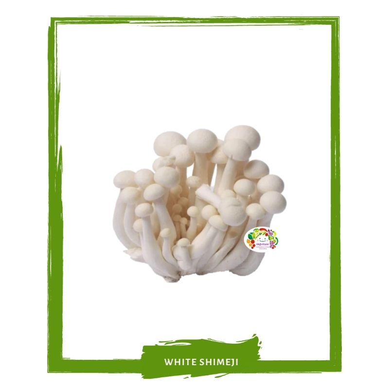 

Jamur Shimeji Putih / Sayur Segar On Mallahrizwa