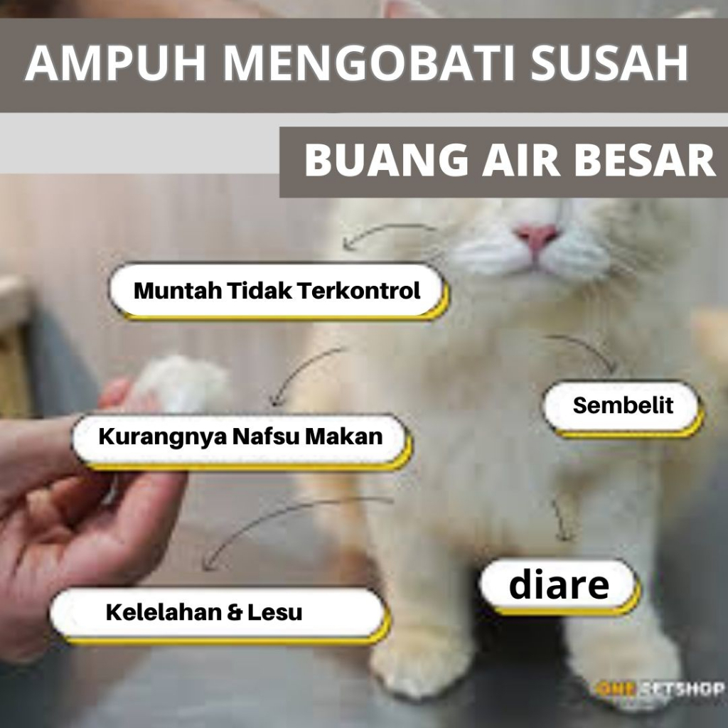 Obat Mengatasi Sembelit pada Kucing Obat Sembelit Kucing Solusi Ampuh FEFARM