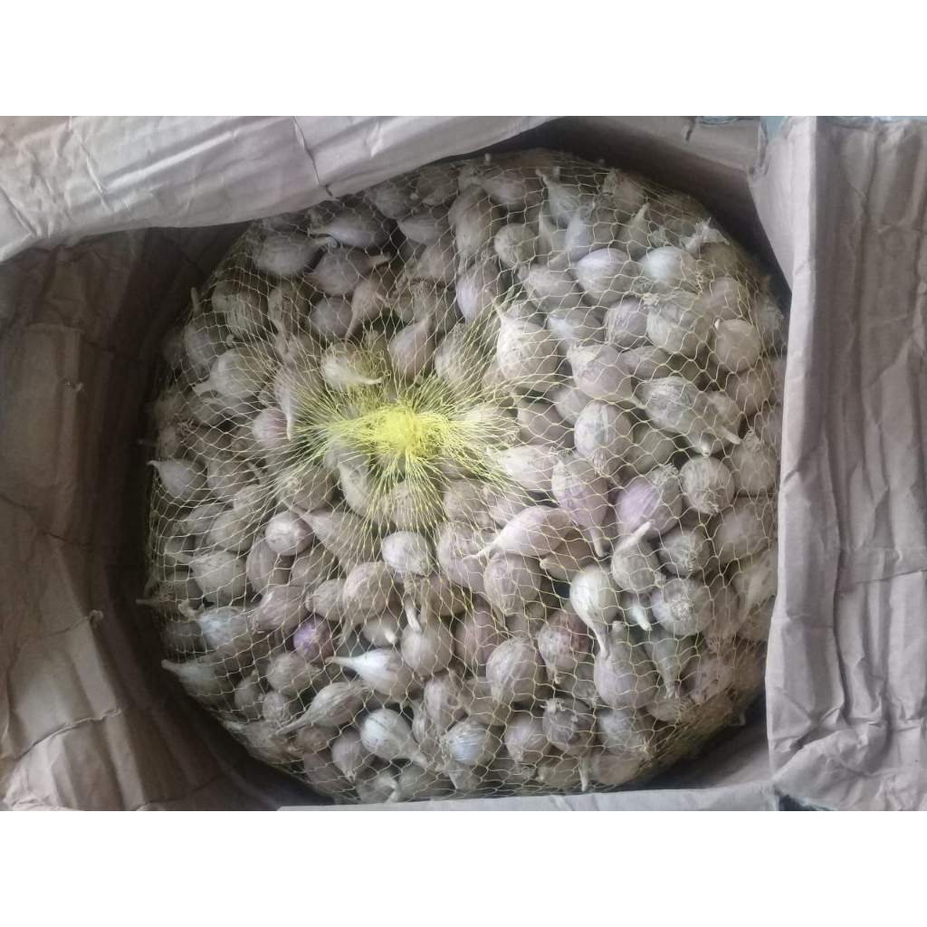 

Bawang Putih tunggal lanang lokal asli original Temanggung