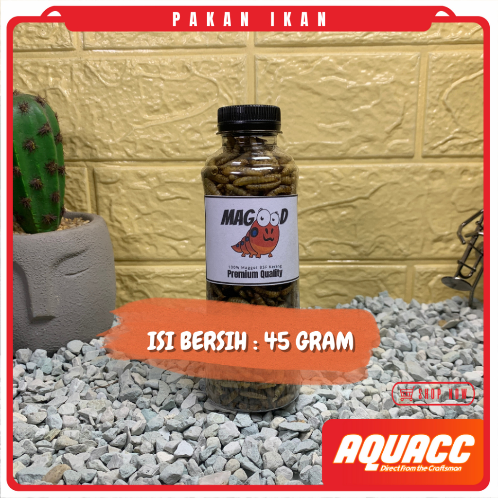 Maggot BSF Kering Magot Dry Maggot Pakan Ikan Kemasan Ekslusif Terbaik Tidak Berminyak Kualitas Terb