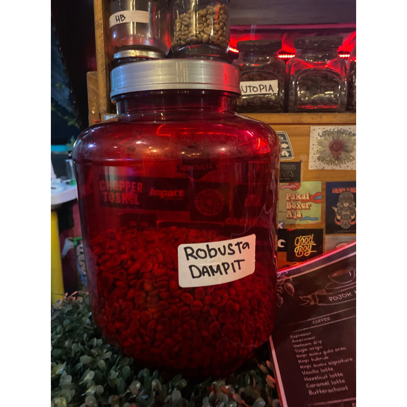 

robusta dampit