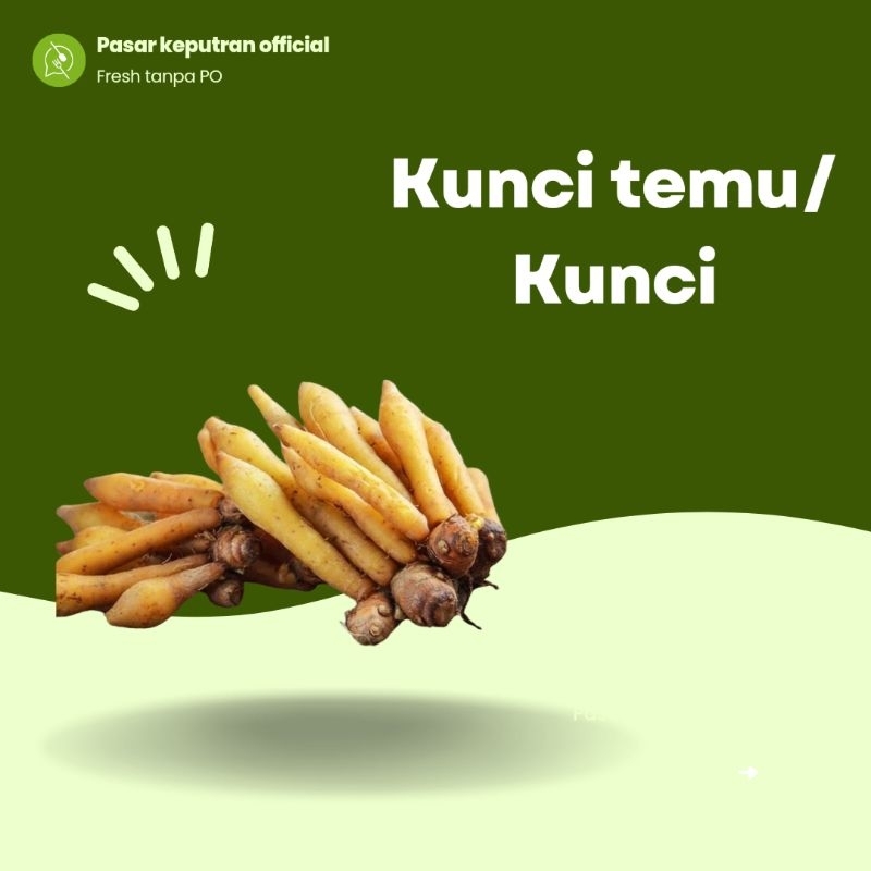 

Rempah temu kunci,rempah temu kunci 500gr,temu kunci fresh