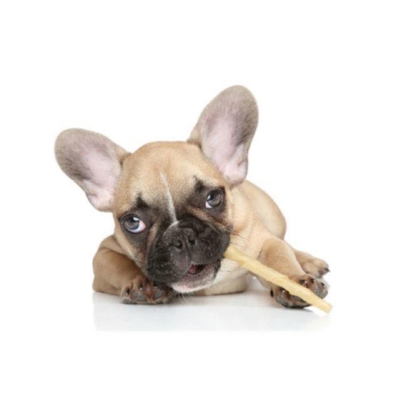 PET Twist Stick Tulang Anjing Snack Natural Gigitan Dog Chew Bone