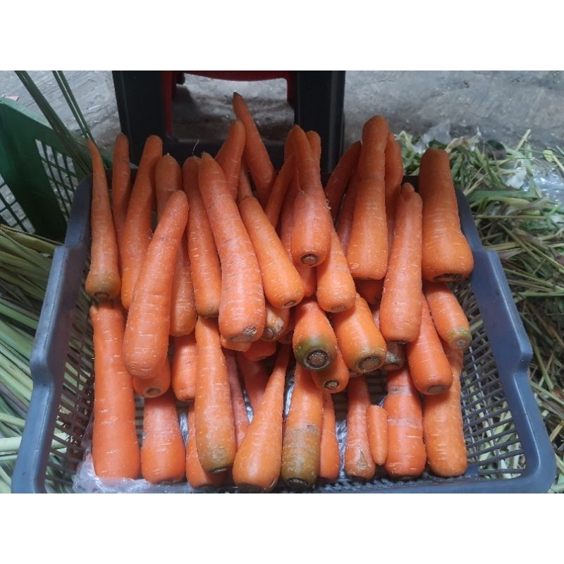 

[ArihErsada] Wortel Berastagi Manis 500 Gram | 1 KG