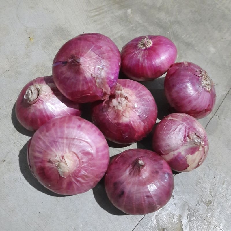 

bawang india 1kg