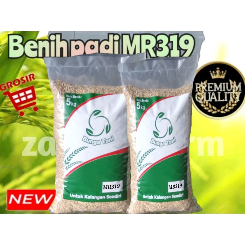 BENIH PADI MR319 5KG premium