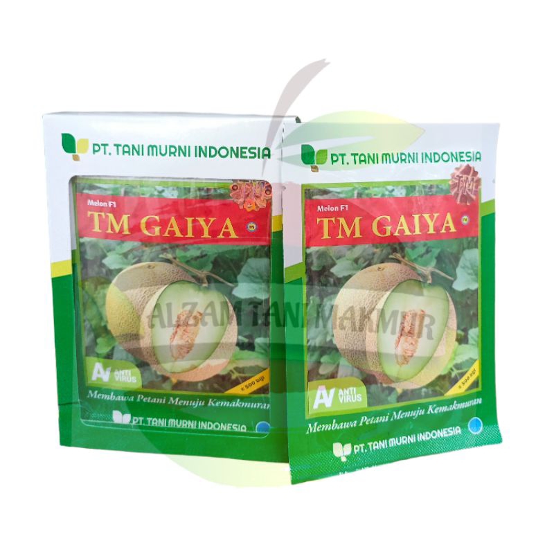 Benih Melon TM GAIYA F1 isi 500 Biji TANI MURNI