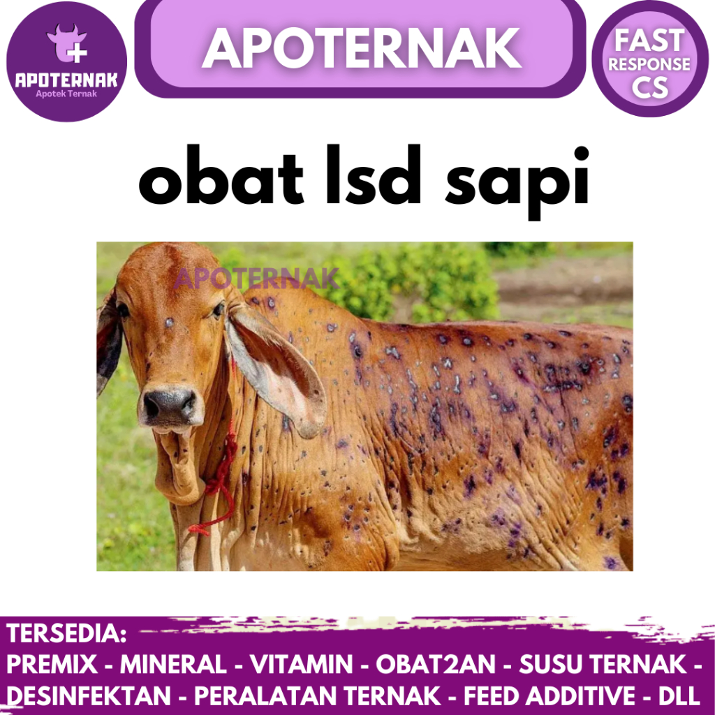 OBAT LSD SAPI BENTOL BENTOL  LATO LATO KOMPLIT - OBAT SAPI PENYAKIT KULIT SAPI LSD LUMPY SKIN DESEASE - OBAT SAPI LSD