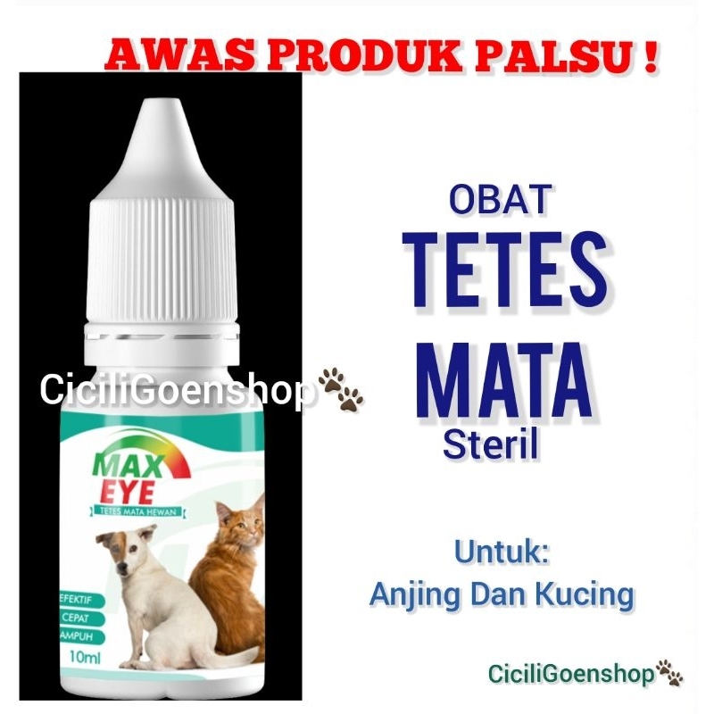 MAX EYE drop obat tetes mata hewan kucing kitten anjing kelinci ampuh 10 ml 10ml sapi kuda kambing