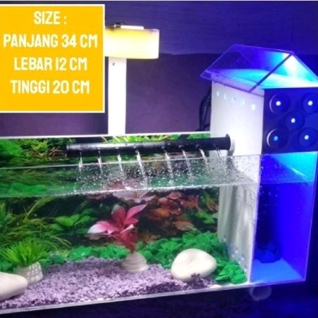 aquarium mini unik akrilik  ikan cupang ikan hias kecil eksklusif