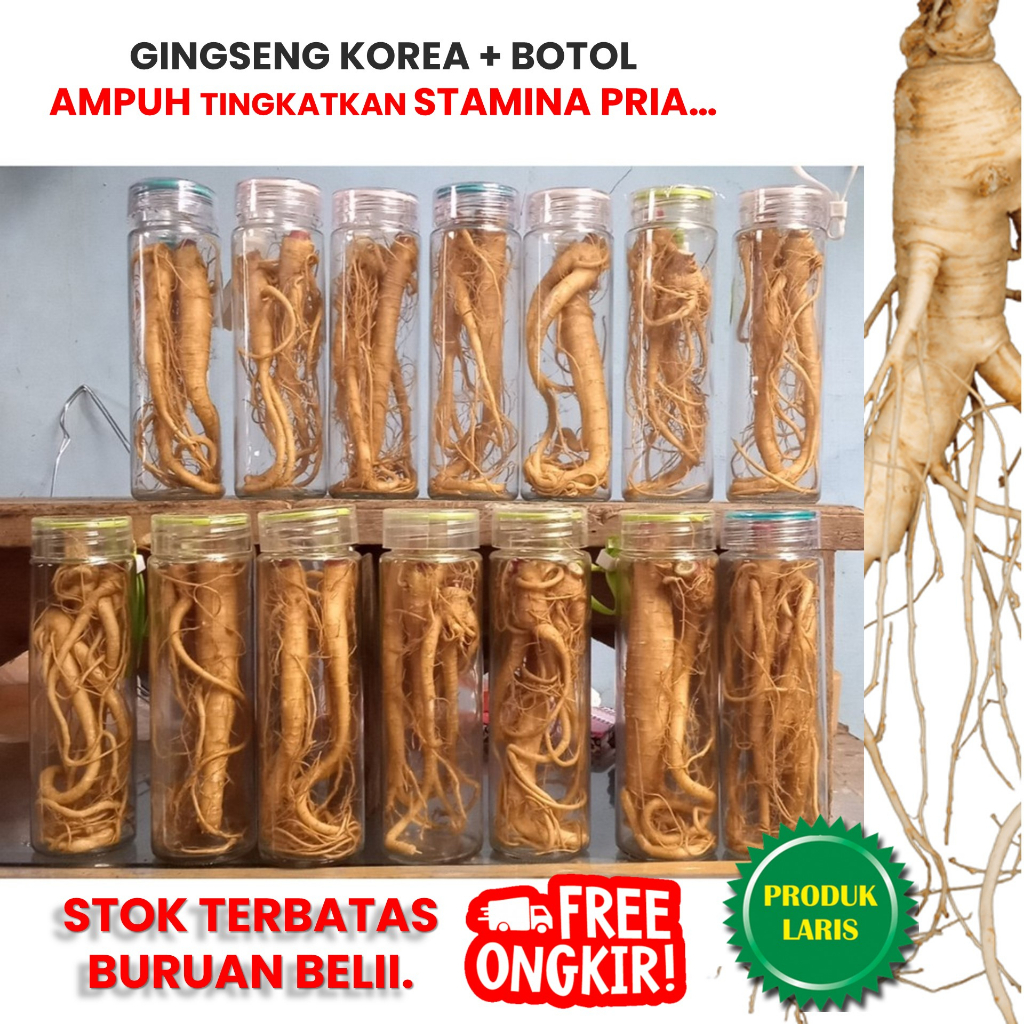 GINGSENG KOREA + BOTOL GINGSENG MERAH Gingseng asli korea