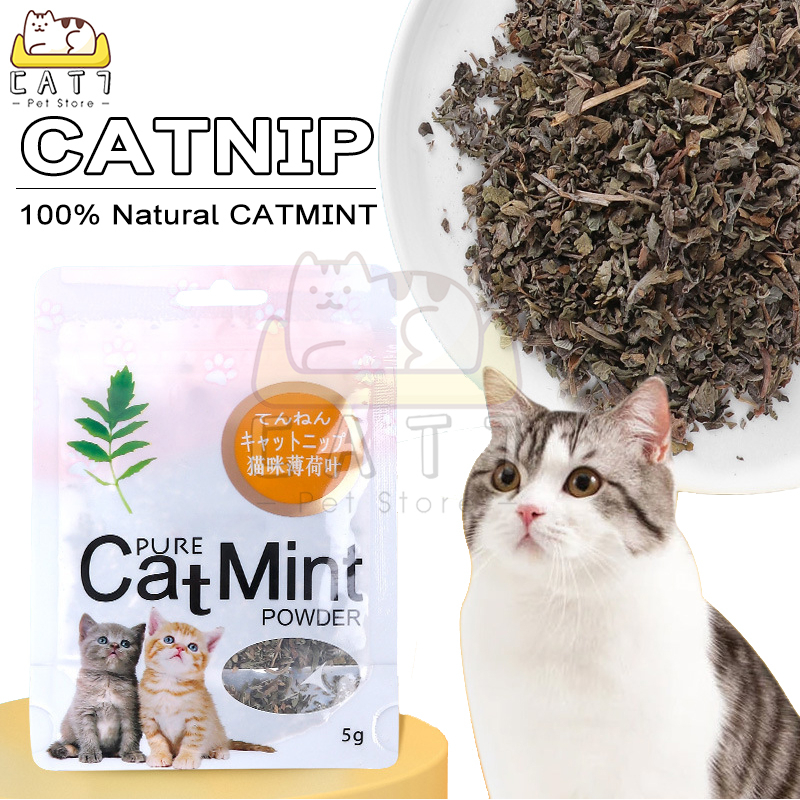 Catnip Catmint Cat Mint - 100% PURE NATUAL CATMINT POWDER - BIKIN FLY KUCING FEFARM Mint Kucing Camilan Kucing