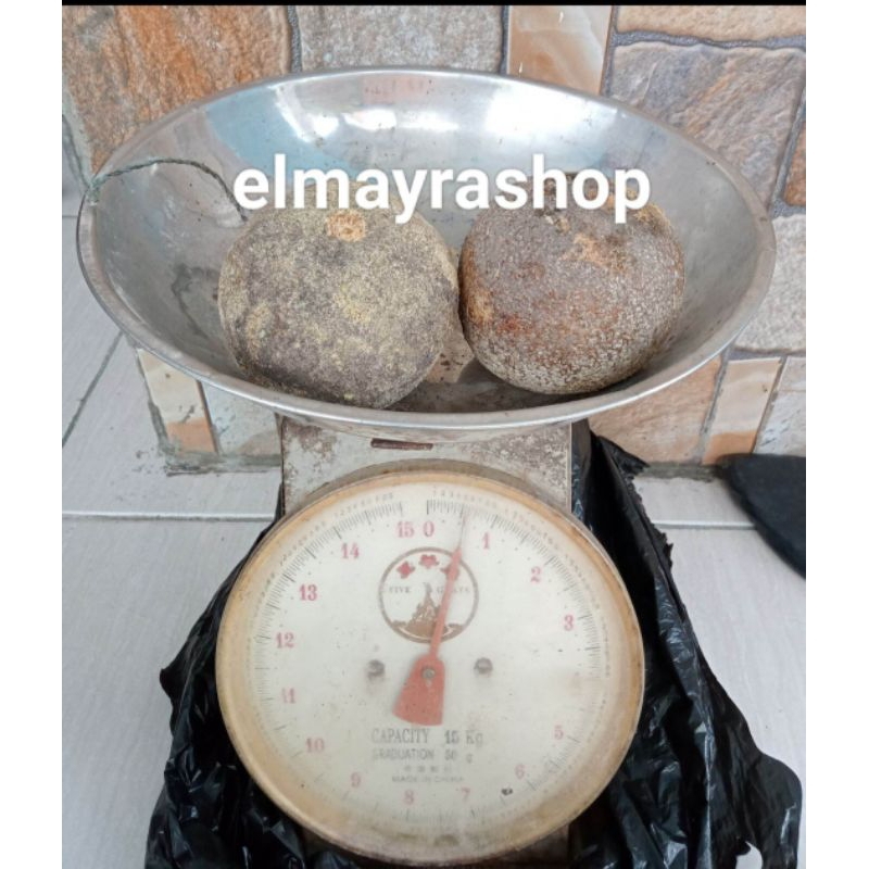

BUAH KAWISTA/KAMIS LASEM REMBANG/1 KG/SUPER