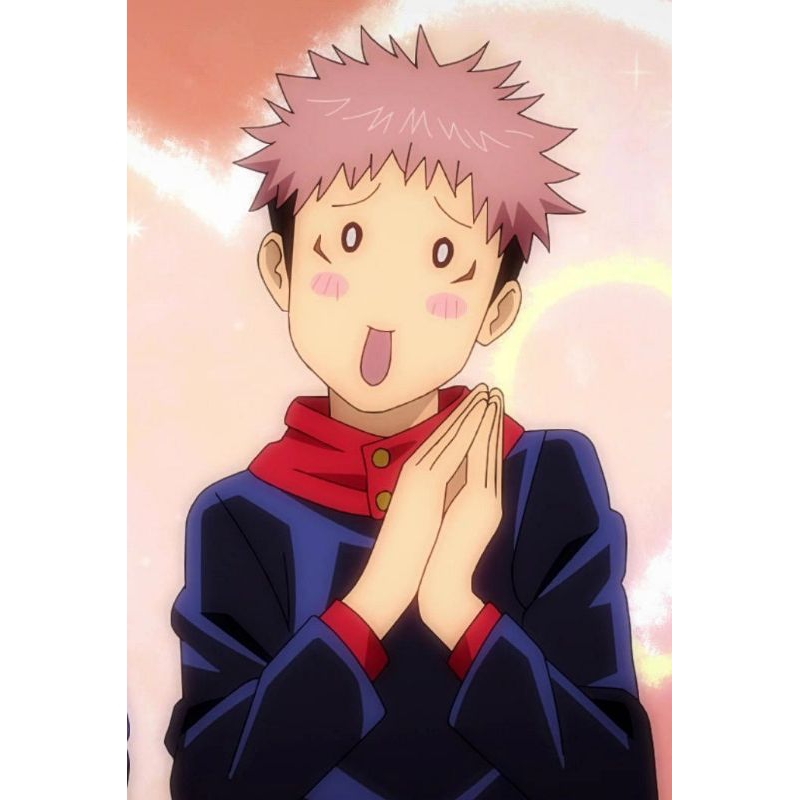 Kostum & Wig Itadori Yuji