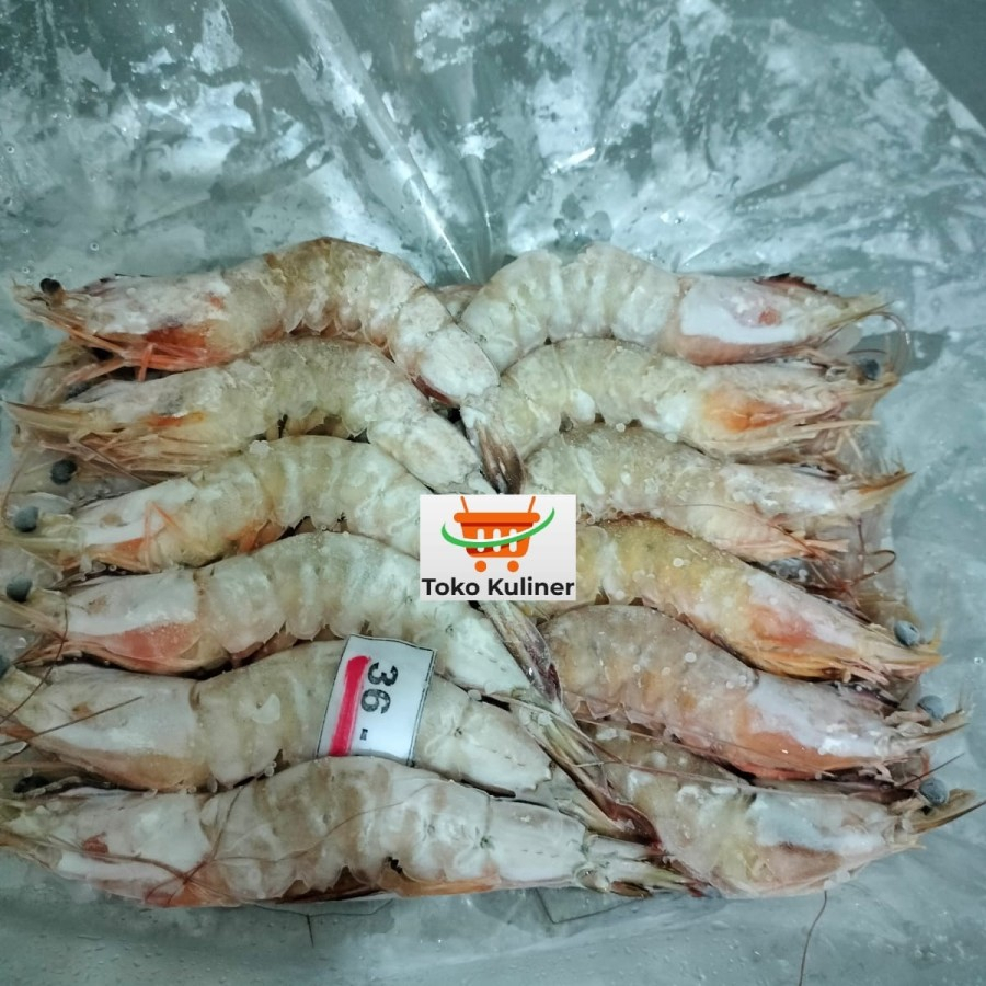 

UDANG LAUT WHITE PRAWN - KUALITAS EXPORT