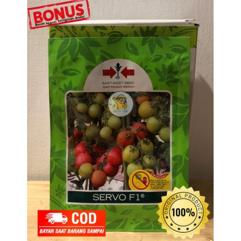 Benih Tomat Servo F1 dari Panah Merah