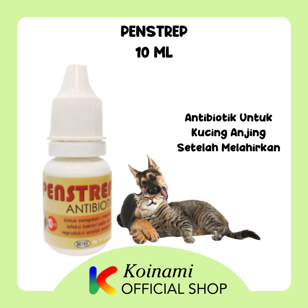 PENSTREP ANTIBIOTIK UNTUK KUCING ANJING SETELAH MELAHIRKAN / BTM