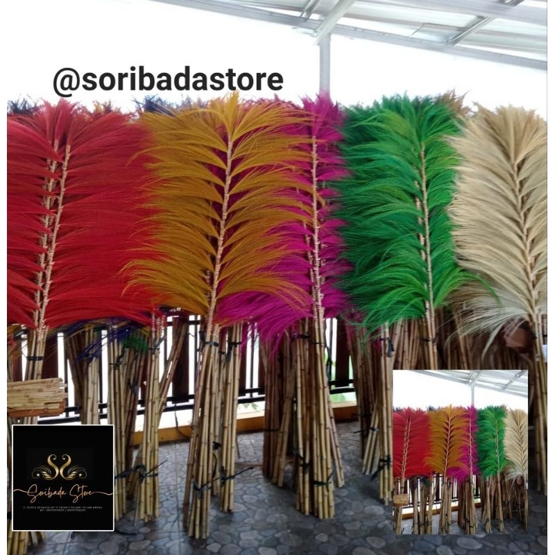 Bunga Rayung Murah / Bunga Kering / Rayung Natural / Homedecor /Rayung Jumbo /Rayung Bambu /Bunga Ra