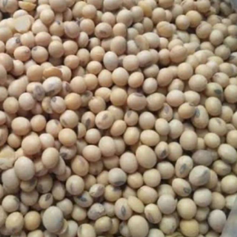 

Kacang Biji Kedelai 250gr