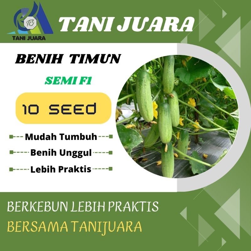 BENIH TIMUN SEMI TIMUN CITRA BABY TIMUN MIRA TIMUN ROLANDO / CINCANG / TIMUN BESAR REPACK