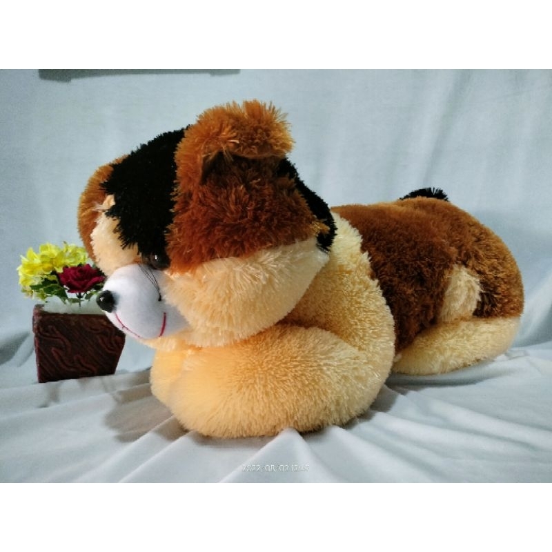 Boneka kucing jumbo