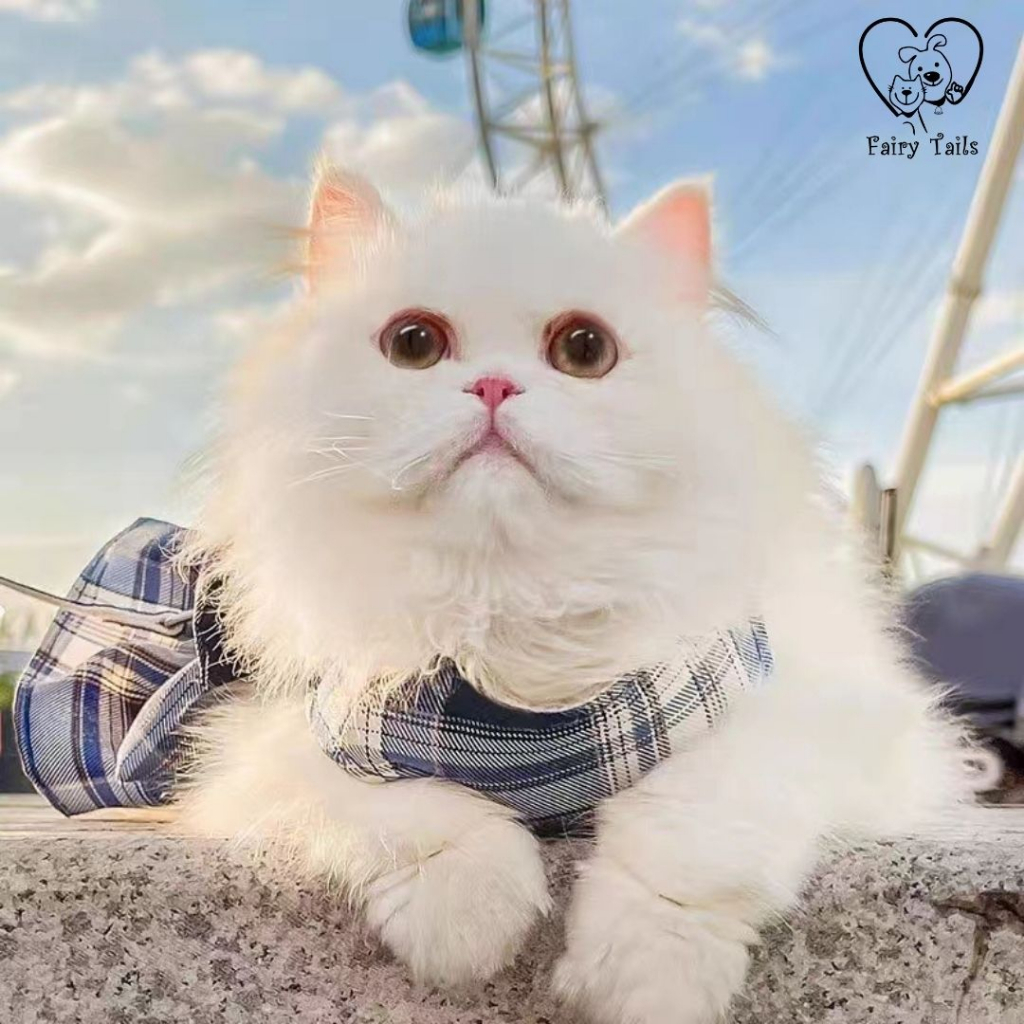 Tali Tuntun Tali Kekang dengan Dress Harness Pita Untuk Anabul Kucing dan Anjing Travel Outdoor | Pet Cat Dog Leash and Dress