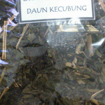 

DAUN TERBAIK KECUBUNG KERING/DATURA METEL HERBAL-1 KG