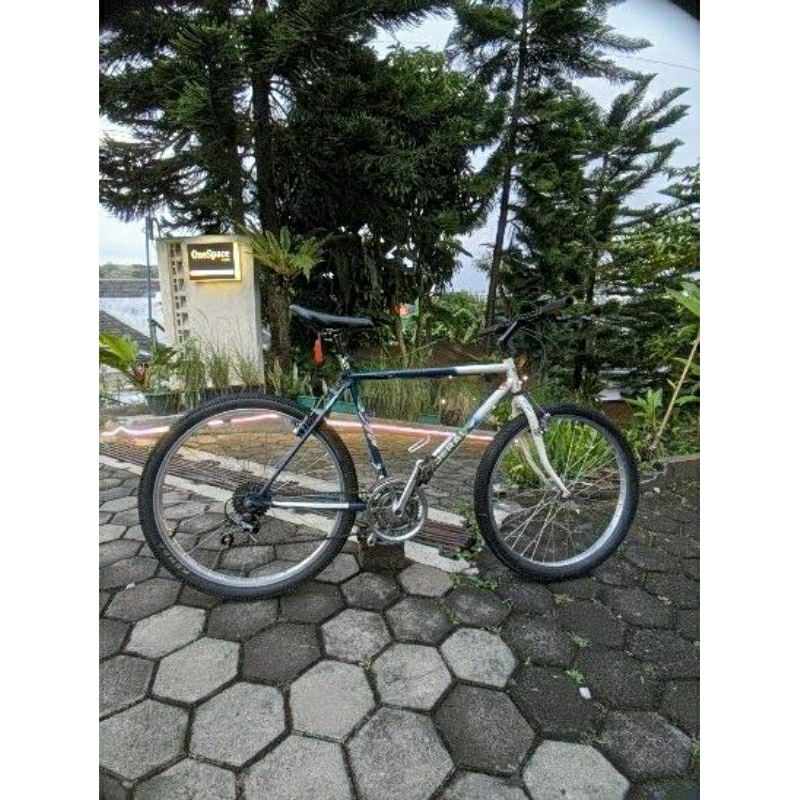 SEPEDA FEDERAL STREET CAT 550 SIZE 20