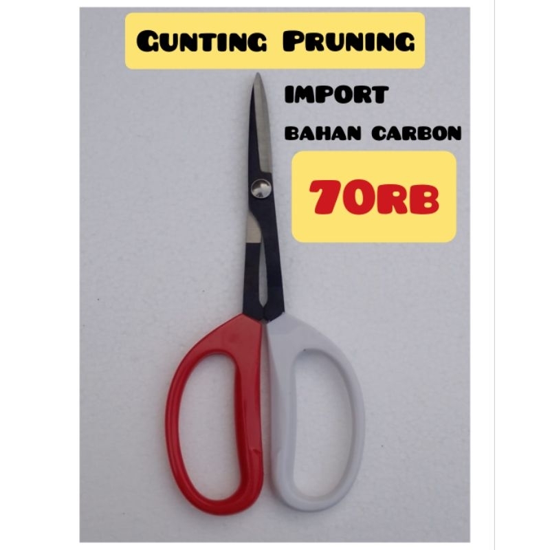 Gunting Bonsai / Gunting Pruning