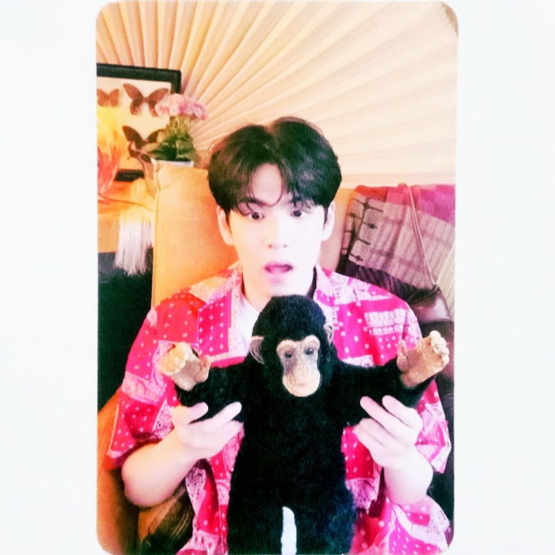 Day6 Even Of Day EOD Right Through Me RTM Album Photocard PC Wonpil Boneka Monyet