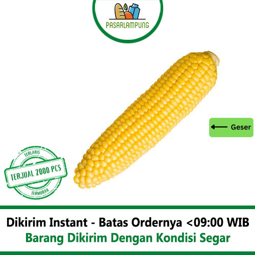 Jagung Manis Sayur Segar Per Pcs Pasar Lampung