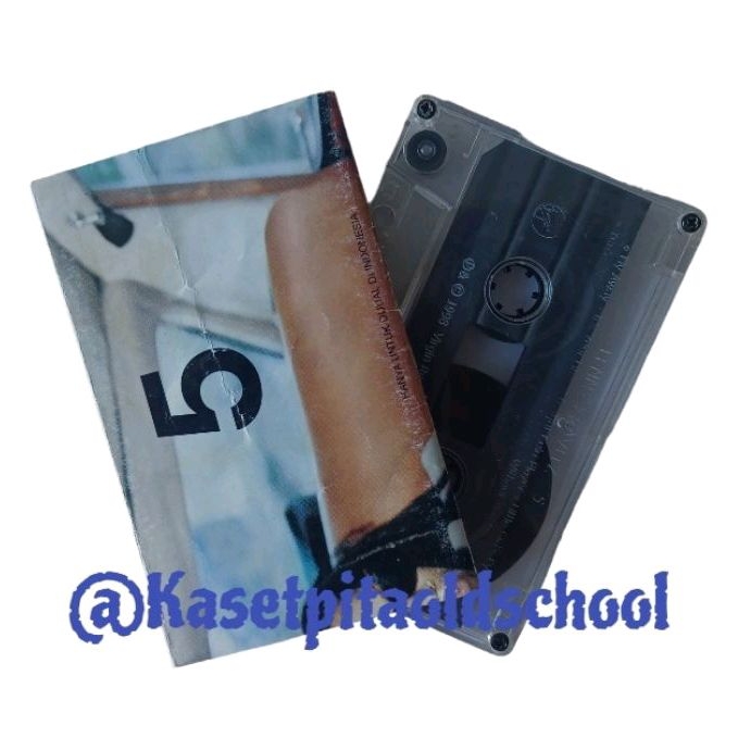 KASET PITA LENNY KRAVITZ 5